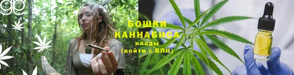 a pvp Ельня