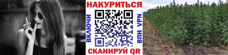 Канабис MAZAR  Купить где  Задонск 